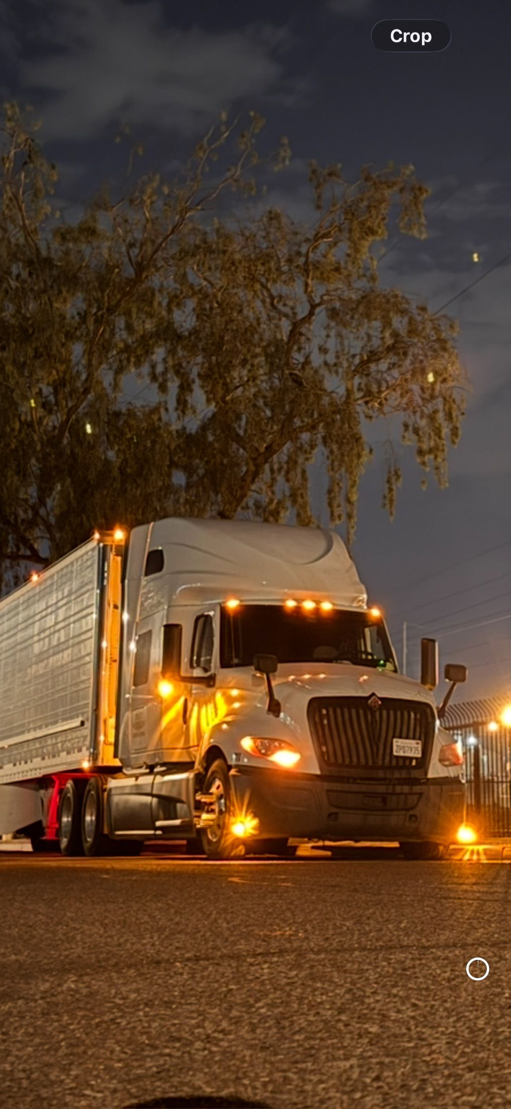 2019 International LT